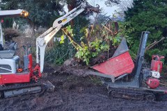 boomstronken-verwijderen-fundering